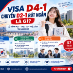 Visa D4-1 chuyển D2-1 rút ngắn