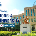 Review Đại học Dong-A Hàn Quốc 2026