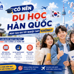 Có nên du học Hàn Quốc sau khi tốt nghiệp THPT?