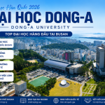 dai-hoc-dong-a-han-quoc-2026