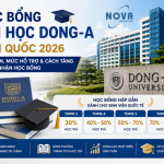Học bổng Đại học Dong-A Hàn Quốc 2026