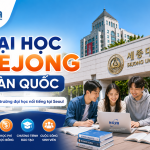 Review Đại học Sejong Hàn Quốc với thông tin về điều kiện tuyển sinh, học phí, học bổng và cuộc sống sinh viên.