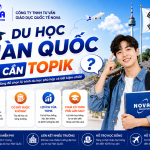 du học Hàn Quốc có cần TOPIK không