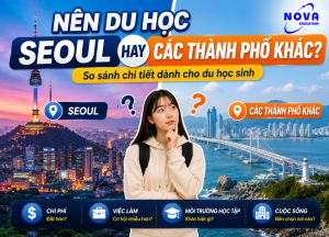Du học Hàn Quốc nên chọn Seoul hay các thành phố khác? So sánh về chi phí, việc làm, môi trường học tập và cuộc sống.